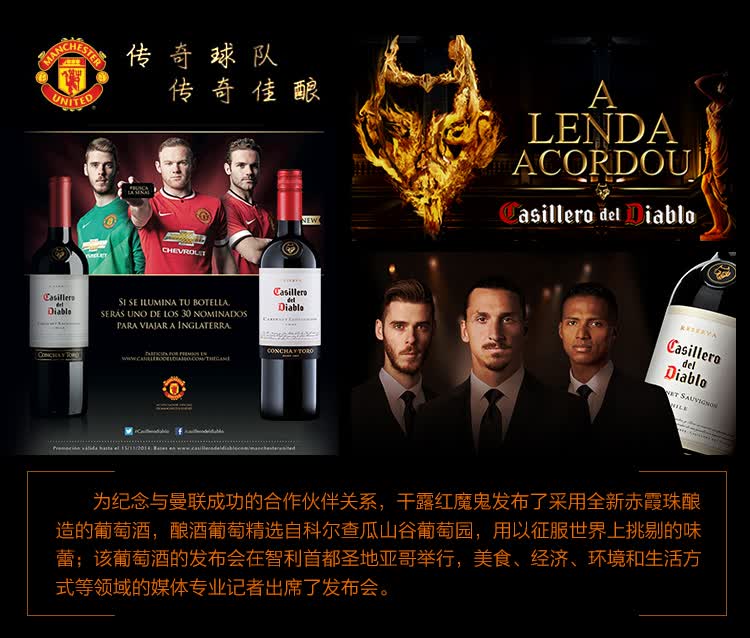 红魔鬼葡萄酒批发全解析 智利红酒经销价格参考与市场趋势